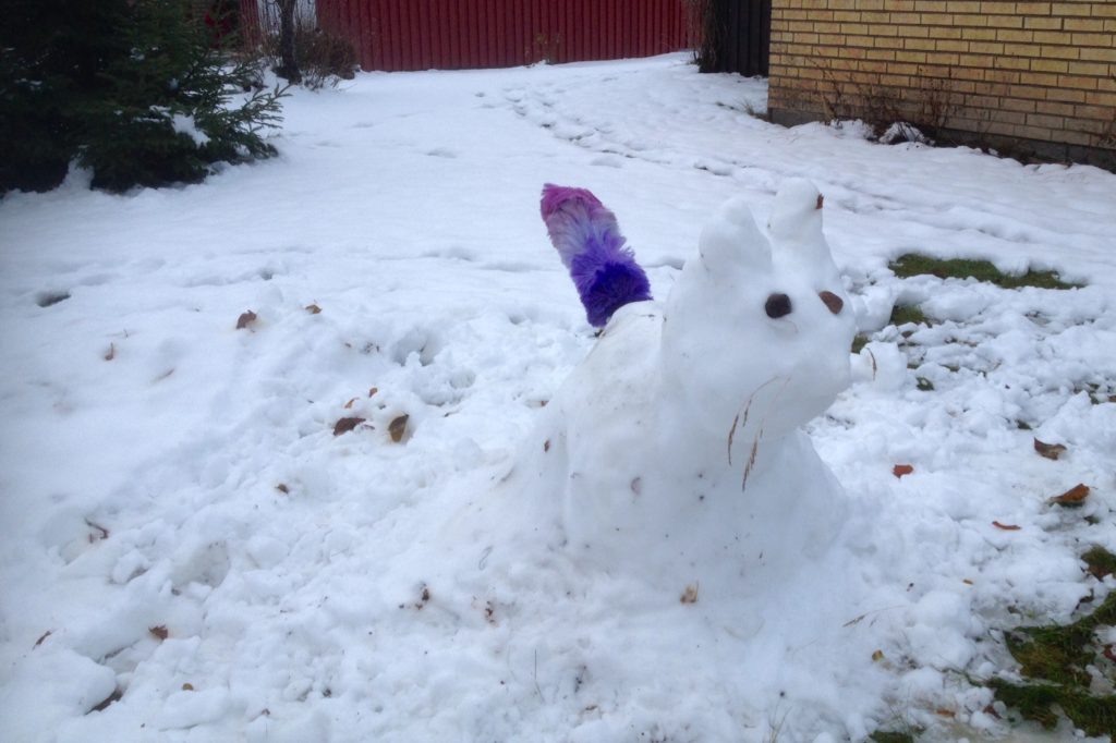 Snow cat